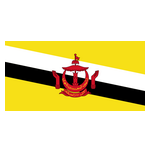 主队