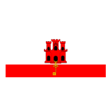 主队
