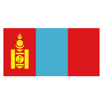 主队
