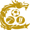 主队