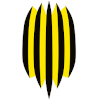 主队