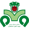 主队