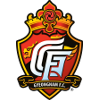 主队